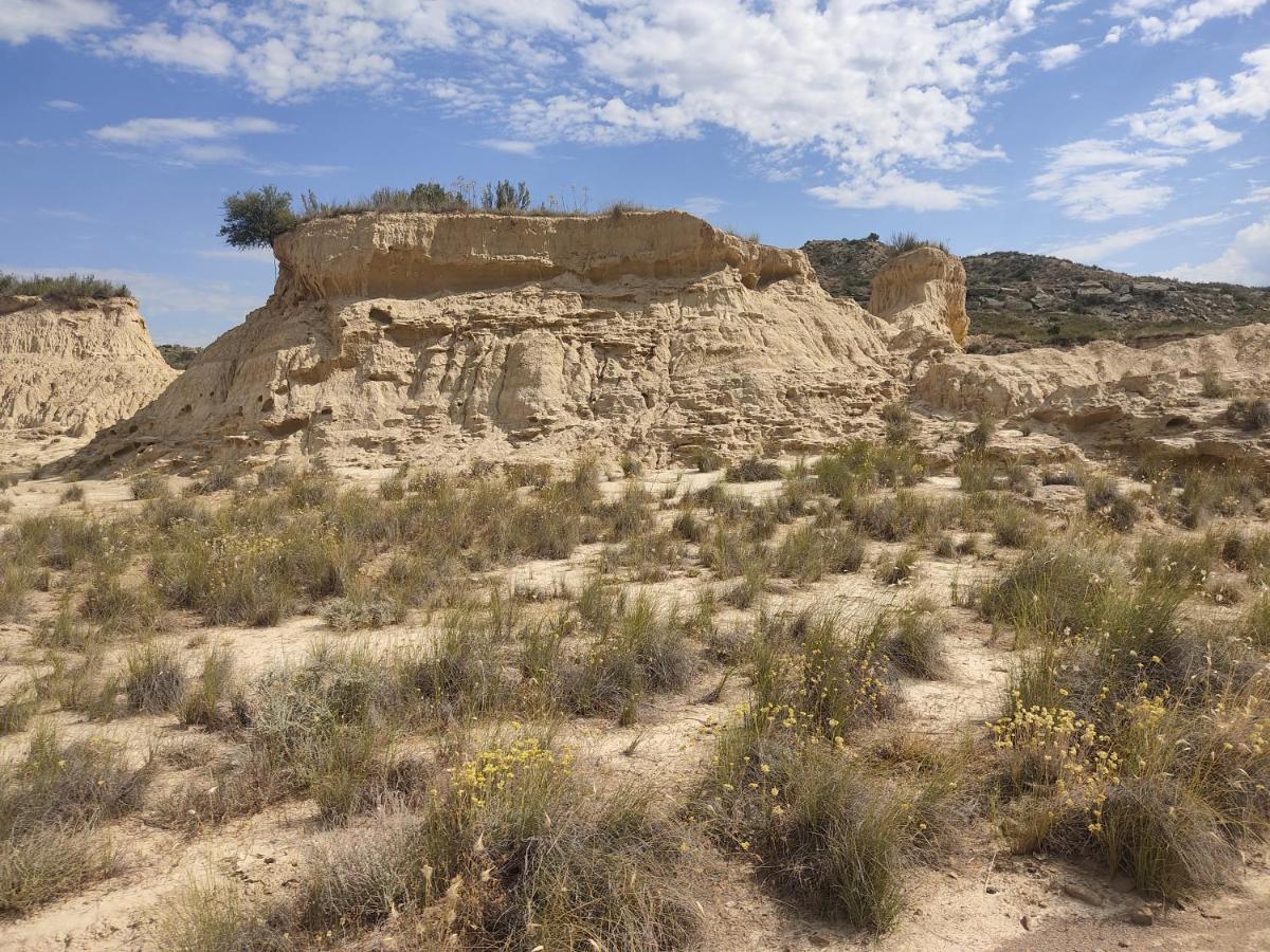 El Pinar De Bardena Villa Carcastillo Eksteriør billede